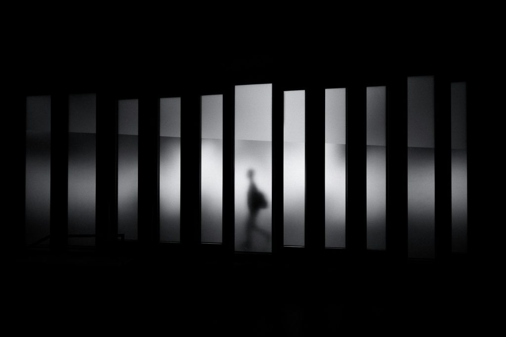David werbrouck 5GwLlb UYk unsplash