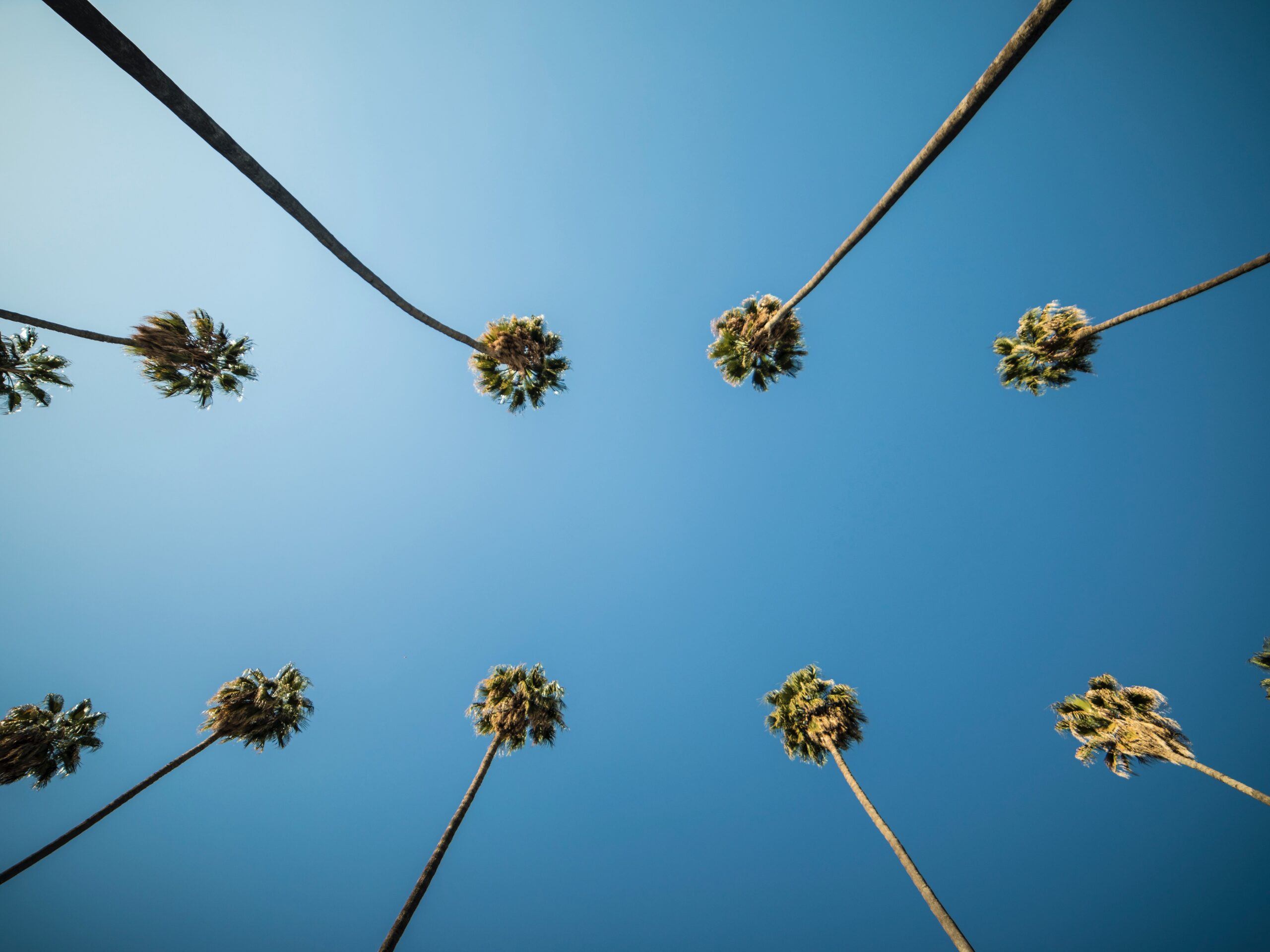 Shot by joe LZr7ZcMVDs4 unsplash